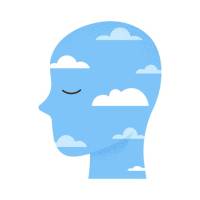 Health Flow Hub – A Place Where Mind and Body Connect and Evolve in Harmony